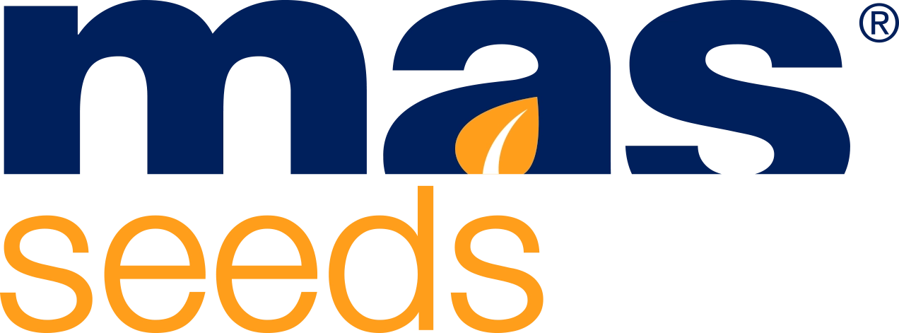 MAS Seeds