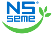 NS Seme